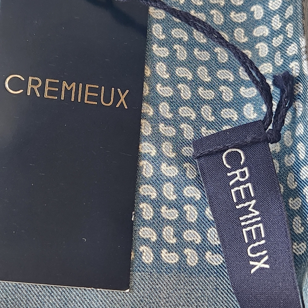 Cremieux Pocket Square 4 Panels Blue Paisley 100% Silk Foulard Pochette New $35 - Picture 11 of 11